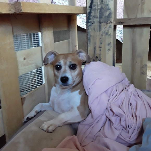 Meet your Posher, Carol - Picture 12 of 16